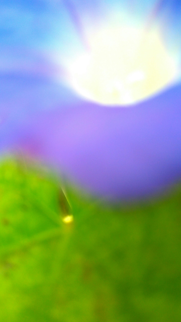 background fosco