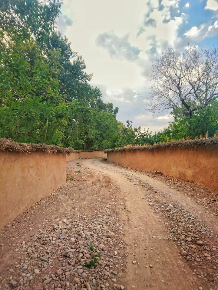 Garden Alley