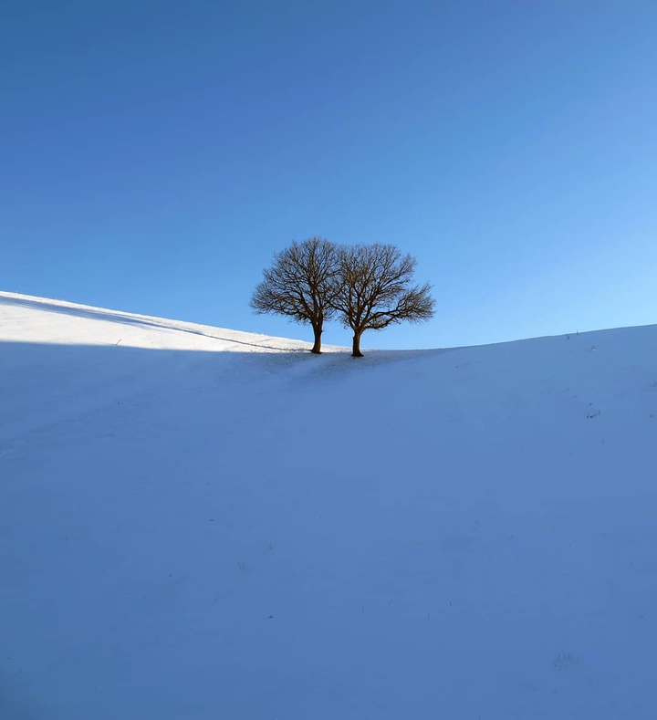 Lorestan Nature