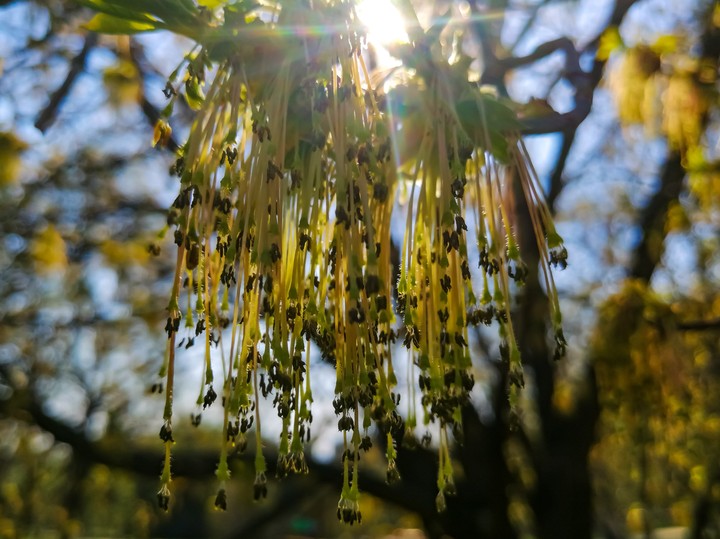 Spring
