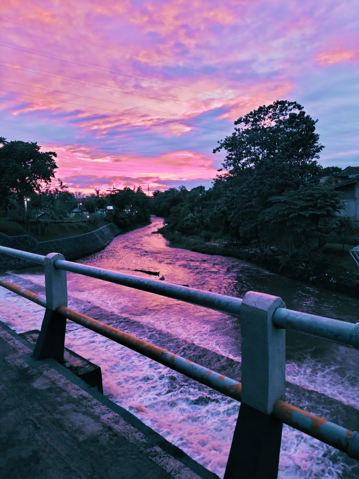 bridge Rolax