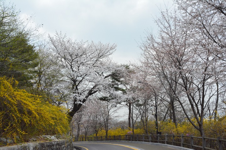 남산이미지