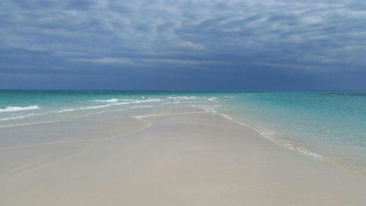 mare