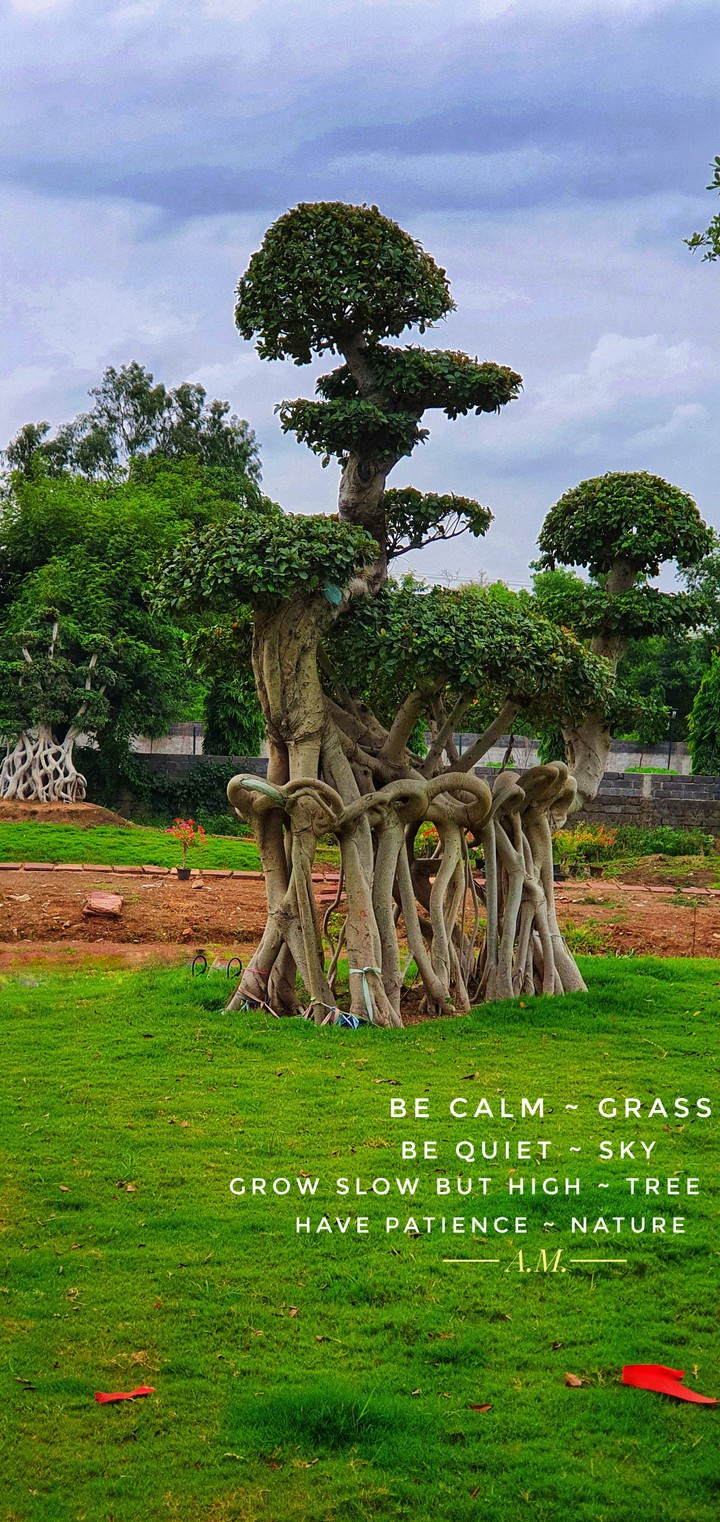 learning from nature