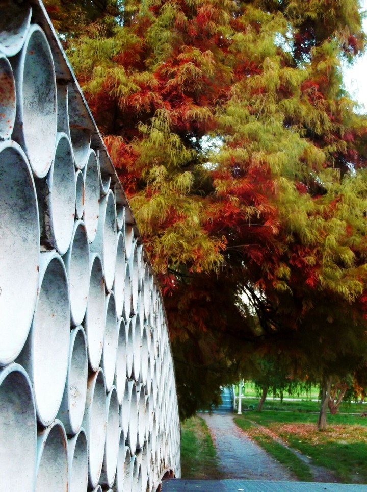 brigde autumn