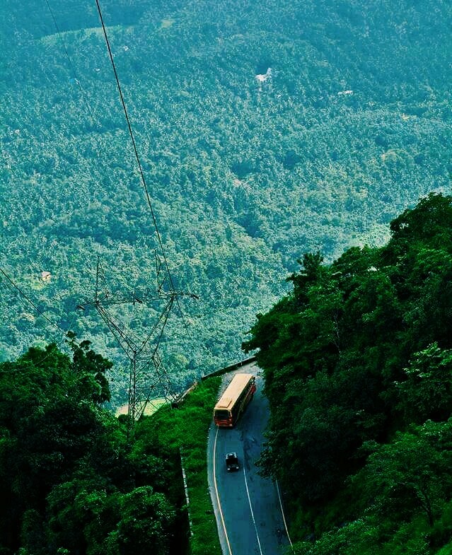 nature