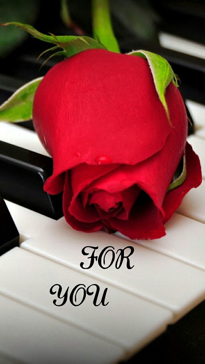 foor you,,,,,,