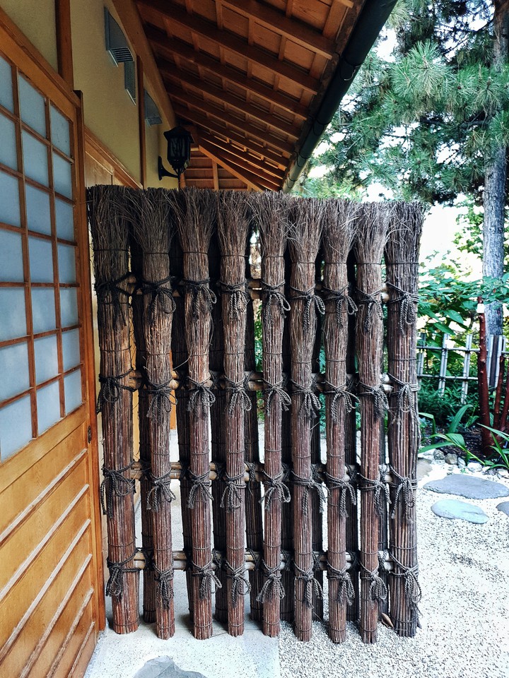 bamboo