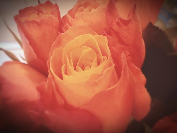 Vintage flower