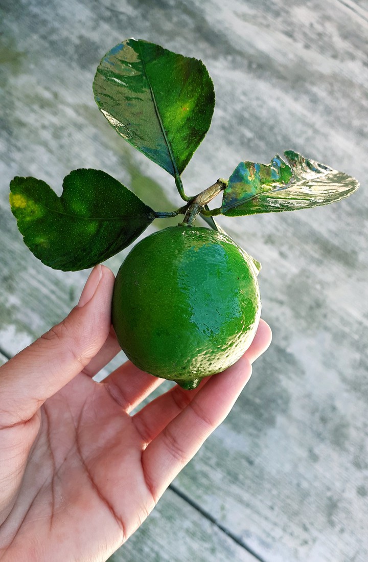 limon ?