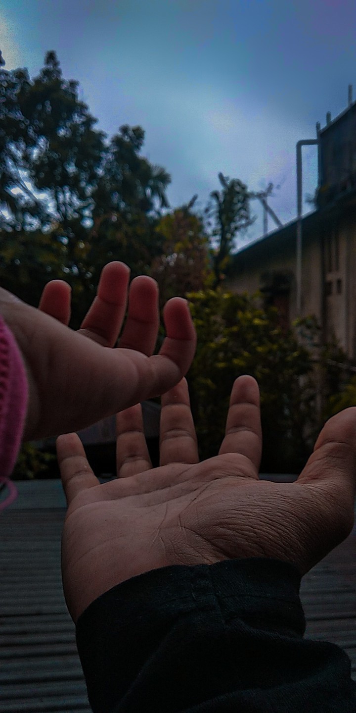 Hold my hand