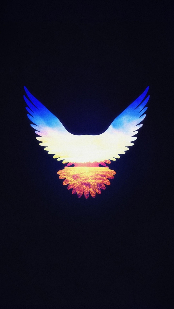 fly