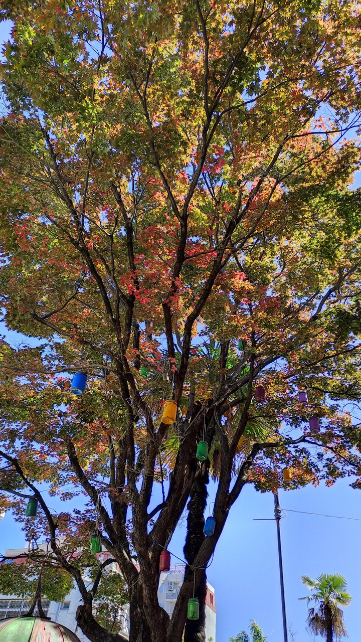 Tree
