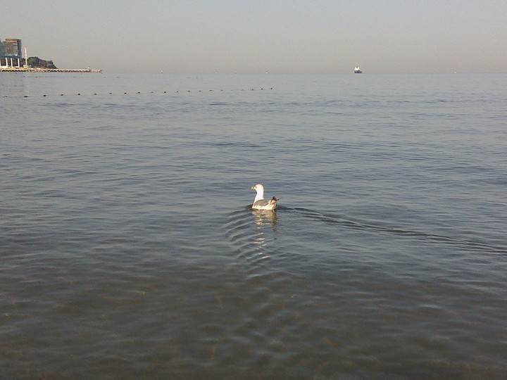 Море в Анапе