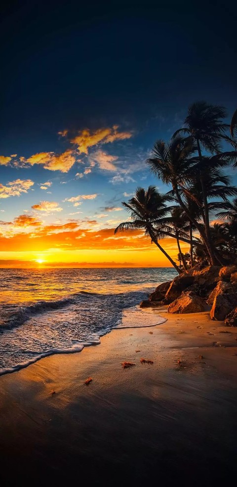 beach