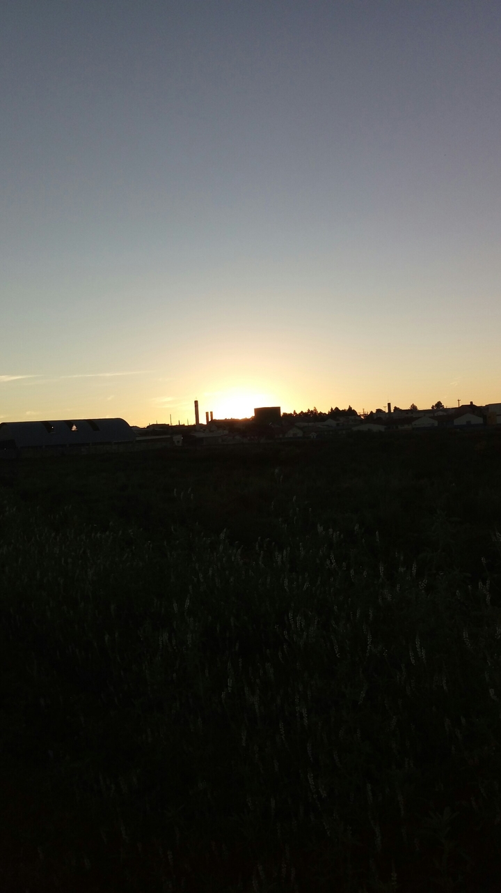 Beautiful sun in Big River Farm