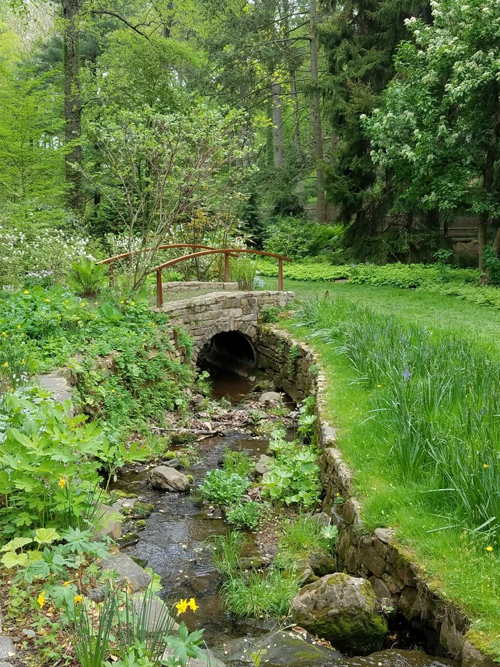 Nature's beauty