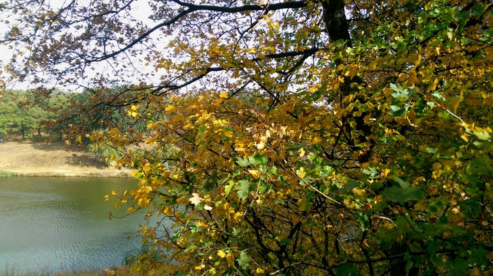 autumn