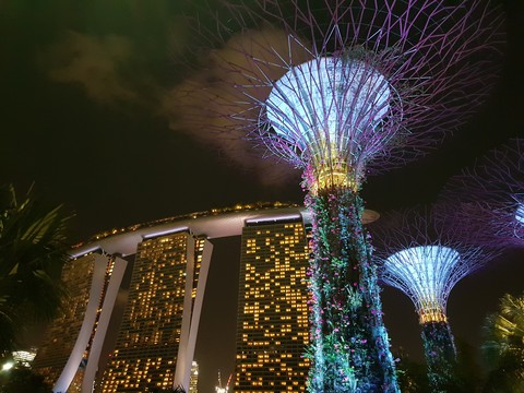 super trees