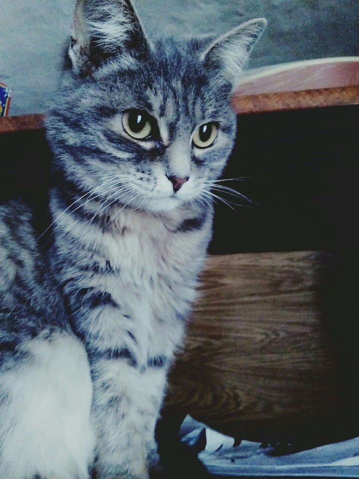 Moore