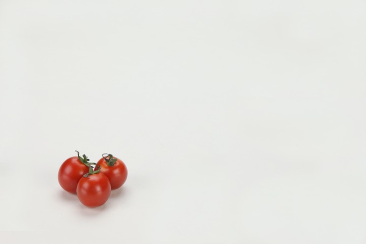 음식이미지