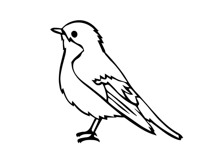 bird art