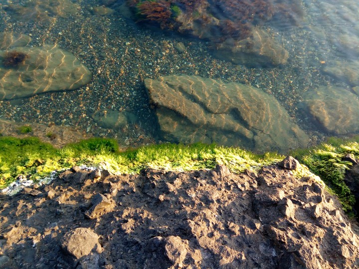 Deniz