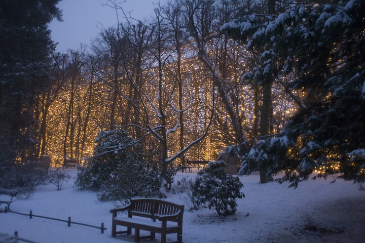 Winter in Oliwia Park