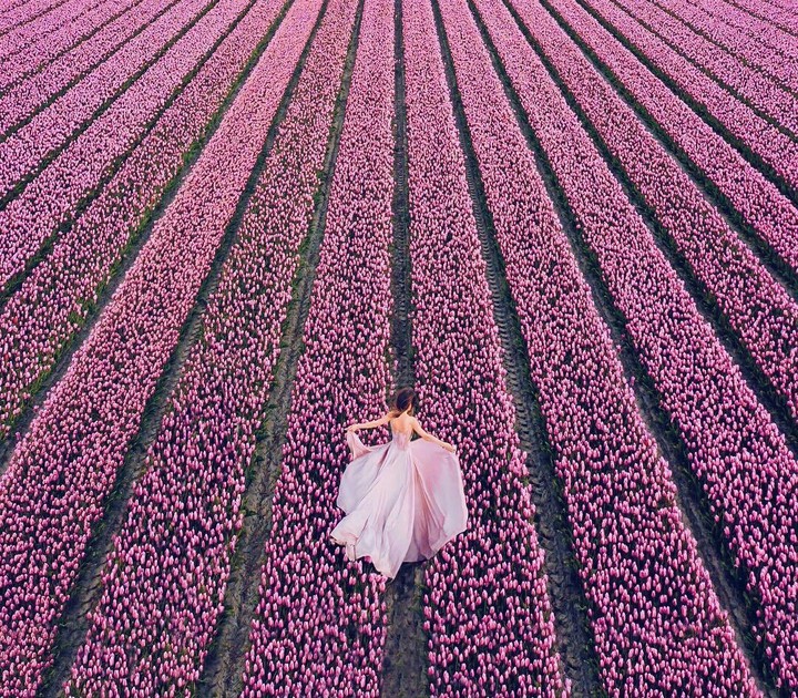 wow❤