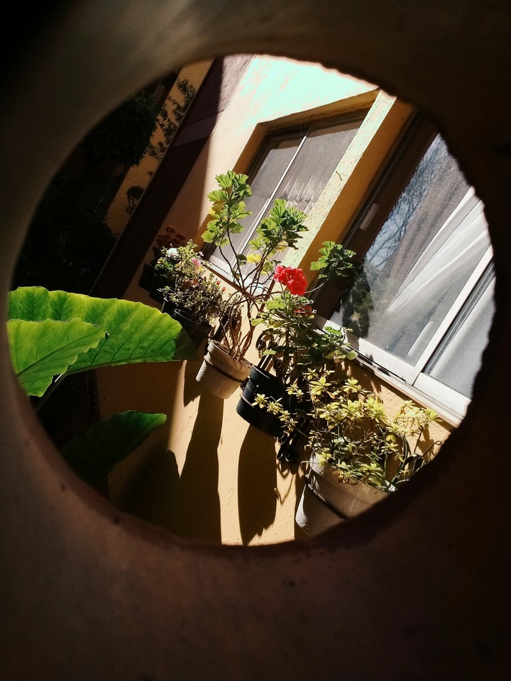 window