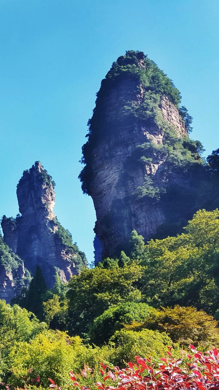Mountains and Flowers.