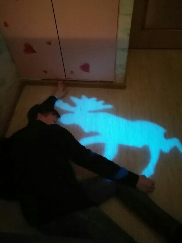 Сегодня сплю с лосём