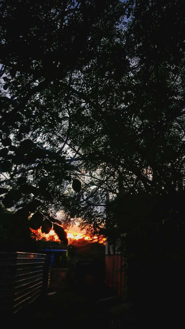EVENING REACTION