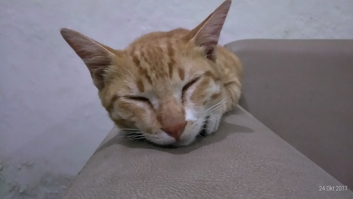 mukidi