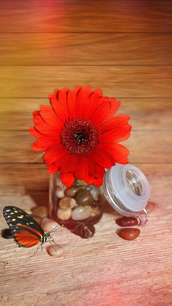 Red Flower
