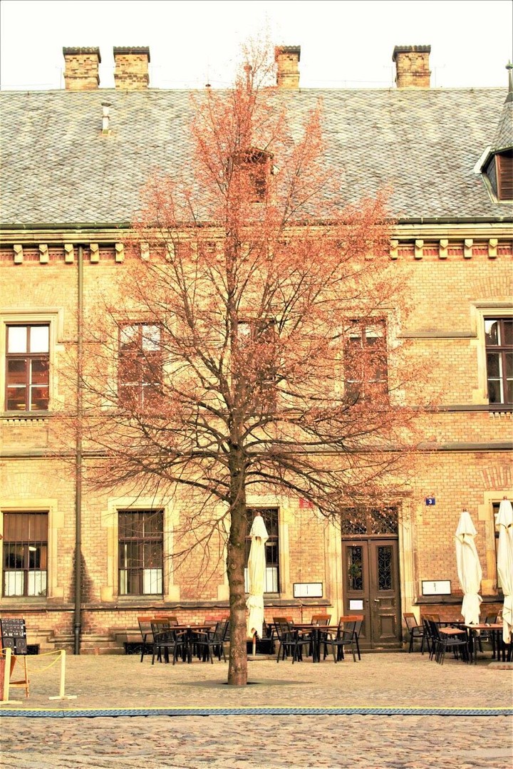 Winter spot, Prague
