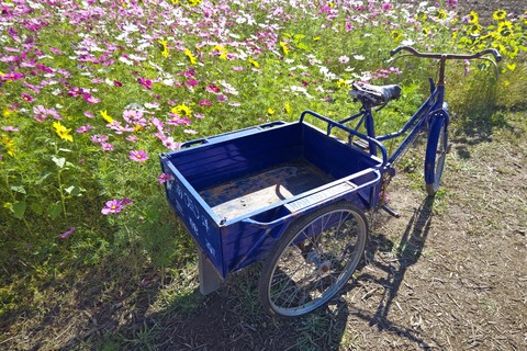sfondi vehicle, bycycle