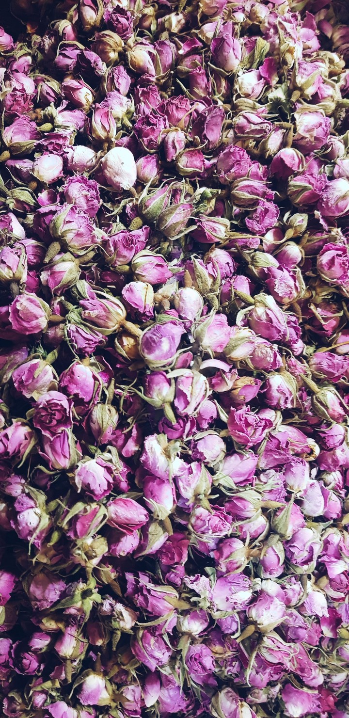 roses