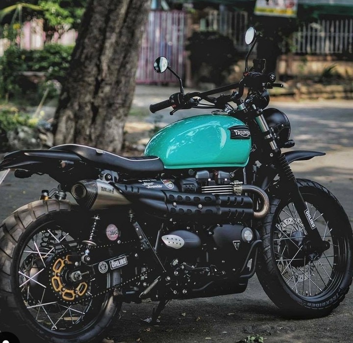 truimph bikes