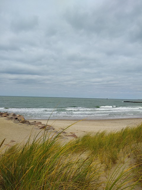 Meer