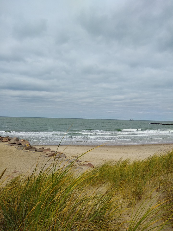 Meer