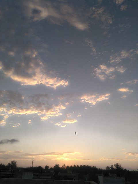 sunset ?