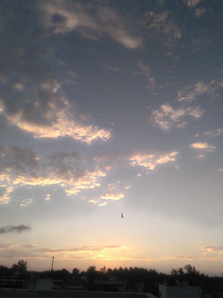 sunset ?