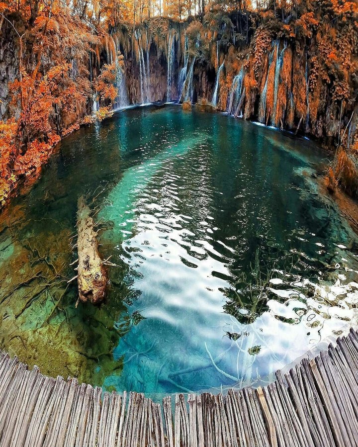 Natural Pool