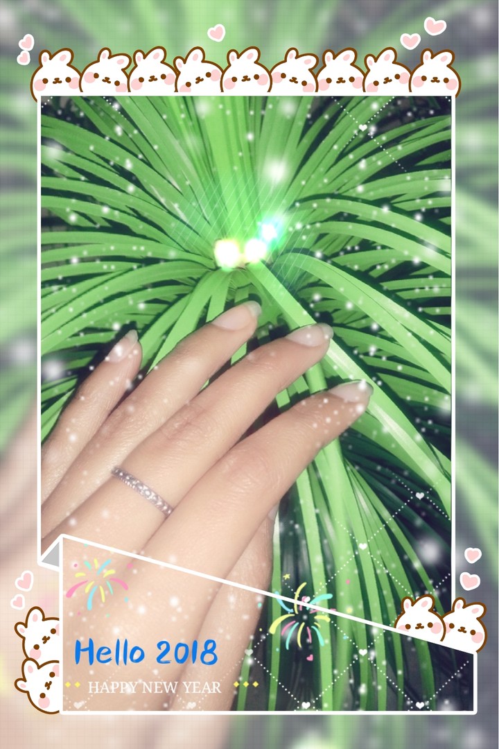 Happy new year to all ❤❤