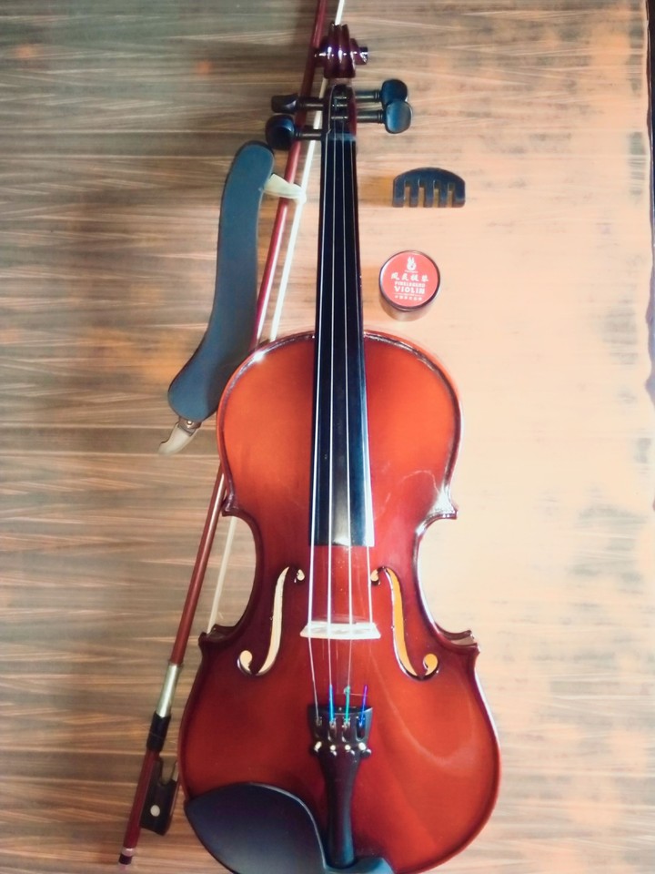 violin