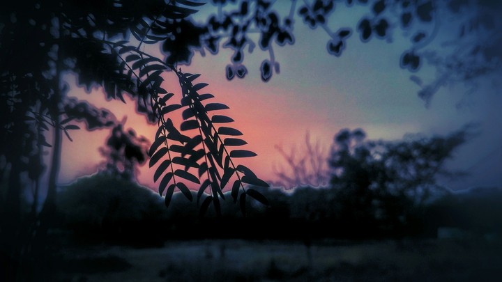 focus photography