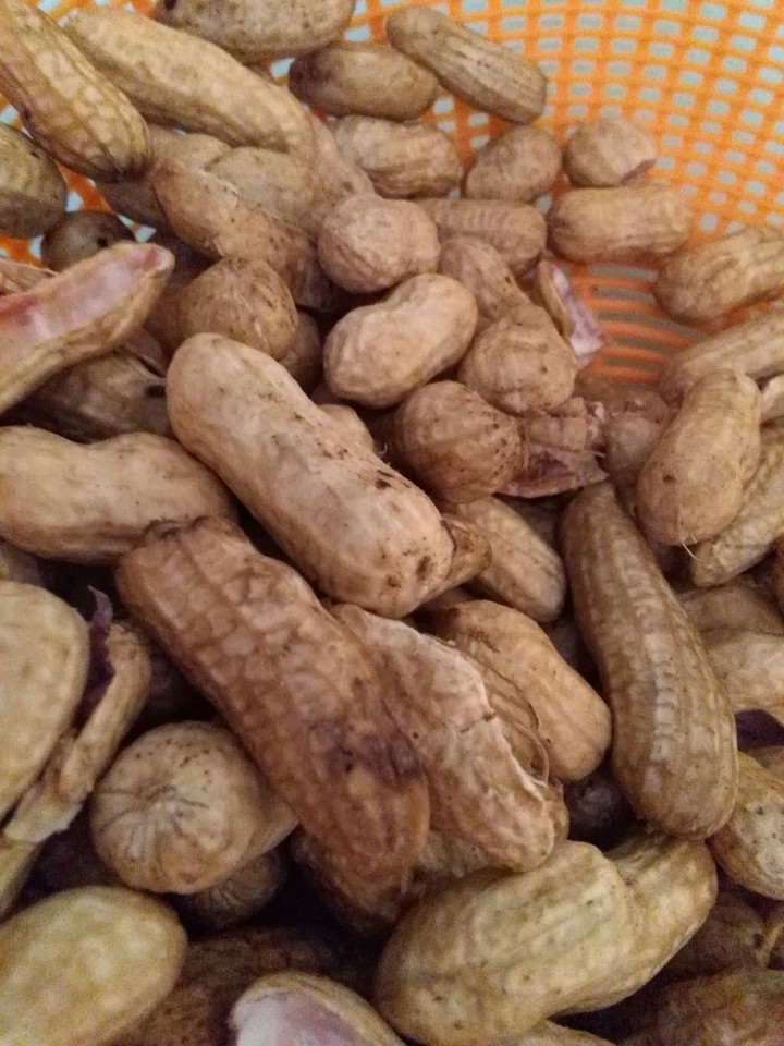 nuts