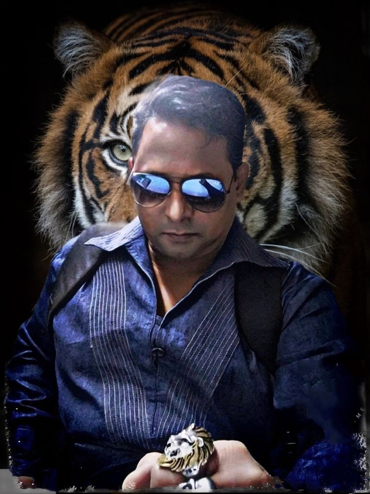 save Tigers