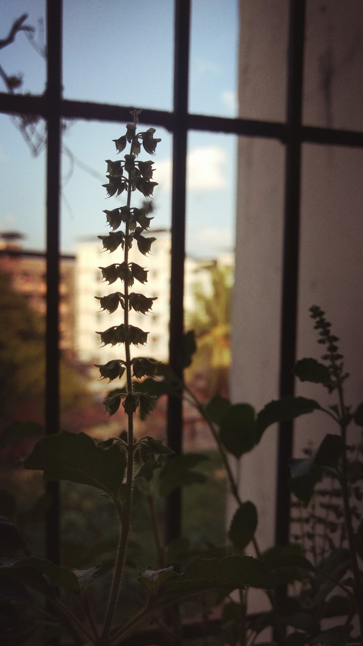 low light